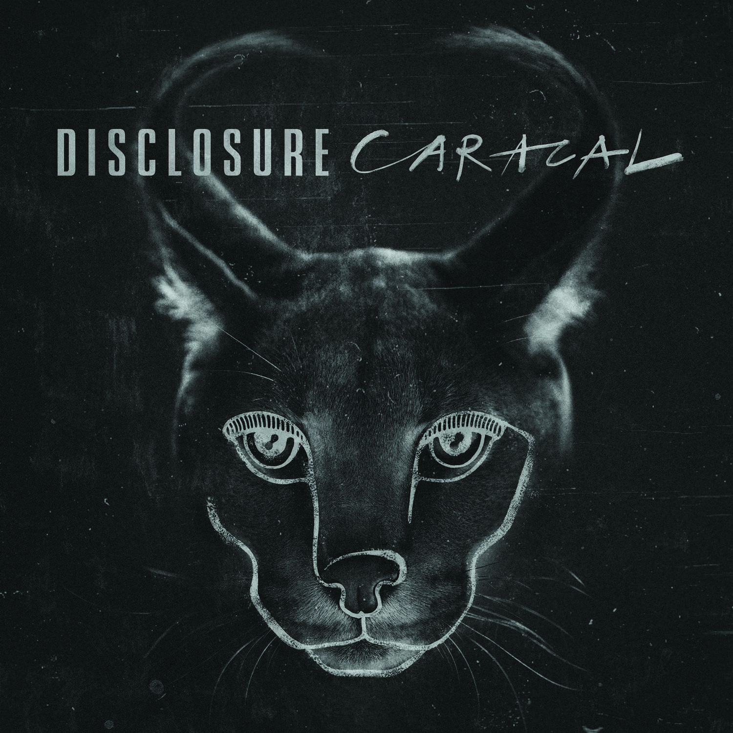 Disclosure-brasil-rio-sao-paulo-caracal-houseando-blog-show-2016 (1)